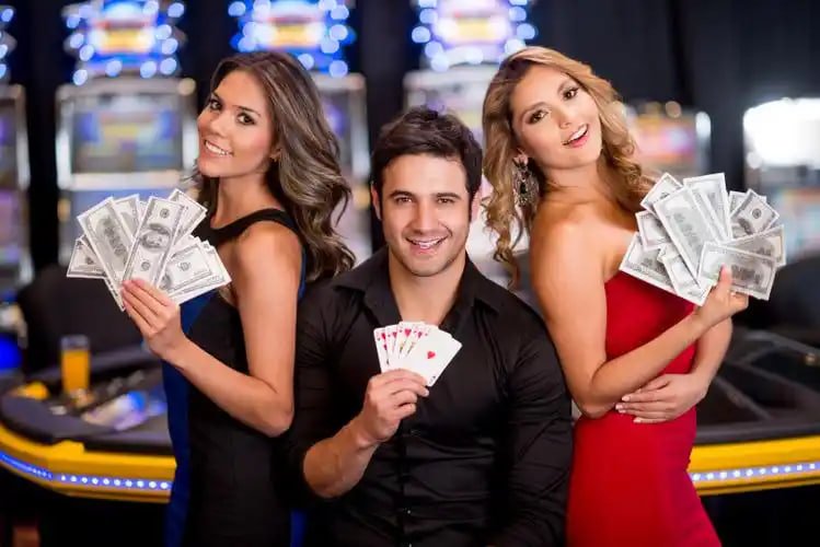 Dashboard togel market beruang 4d dengan pilihan angka dan hasil draw